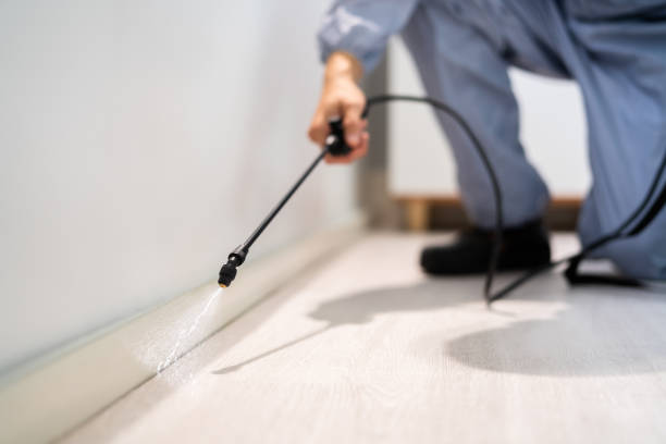 Licensed Pest Control service in Van Vleck, TX - Show Me Pest Control