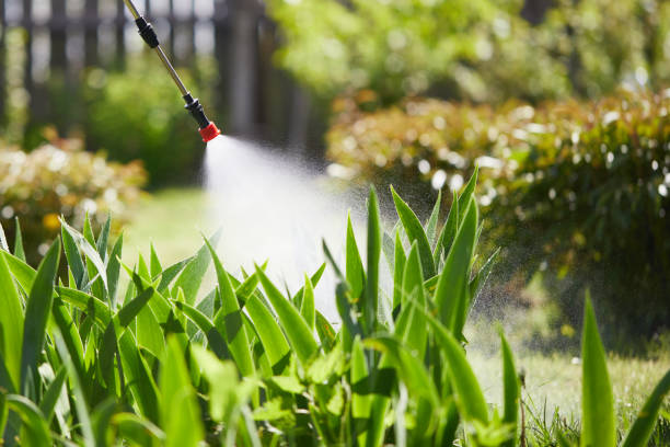24/7 Emergency Wasp Removal experts in Van Vleck, TX