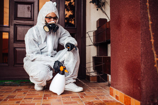 Reliable Wasp Removal contractor in Van Vleck, TX by Show Me Pest Control